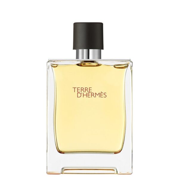 Hermes Terre D Hermes EDP 200 ml