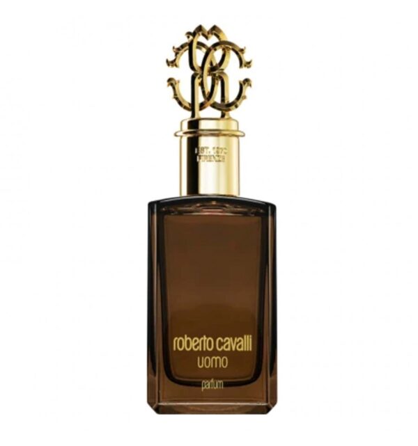 Roberto Cavalli Uomo EDT 100 ml